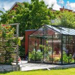 Bygga eget växthus: En guide till din gröna oas